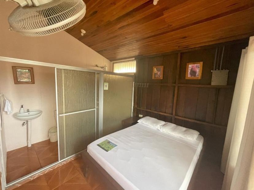 Alpha Arenal Hostel La Fortuna Kültér fotó